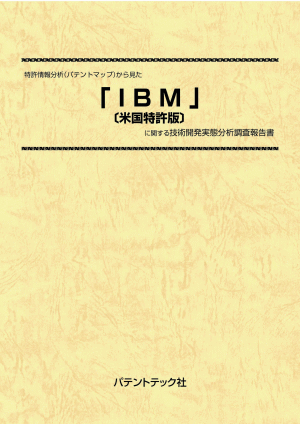 IBM (米国特許版) 技術開発実態分析調査報告書の画像